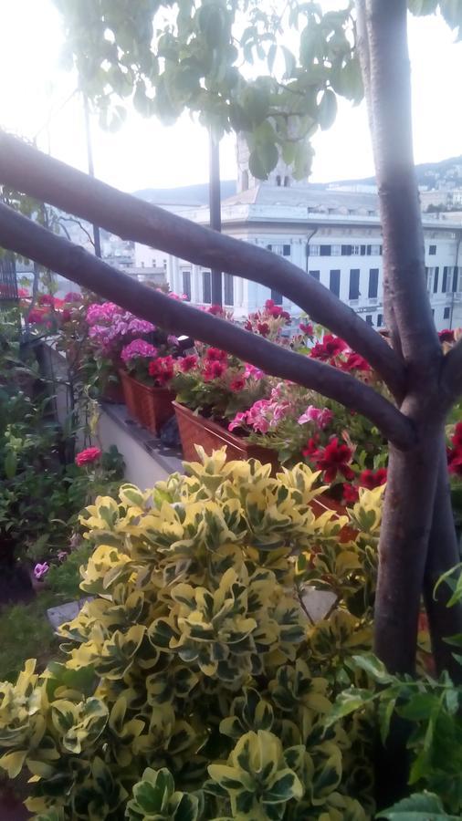 bed&breakfast  La Terrazza Genova Eksteriør billede